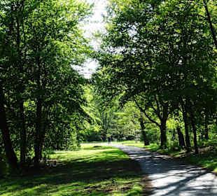 Spaziergang um den Sodenmattsee