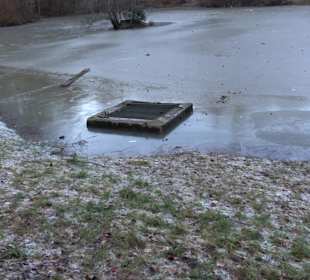 Wanderung rund um den Ochsenweiher