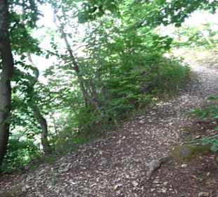 Traifelbergfelsen
