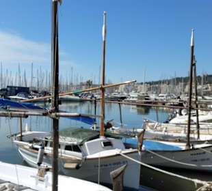 Hafen von Palma de Mallorca im März 17