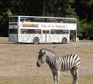 Durchfahrt Serengetipark