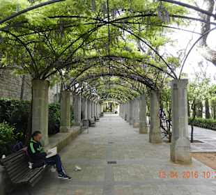 Durch die grüne Brücke