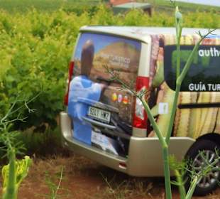 Feel Tenerife authentic experiences