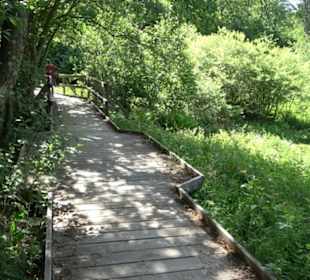 Wanderung Klosterquelle Klosterreichenbach