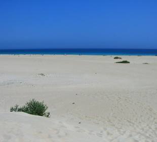 Sand dunes spiaggia