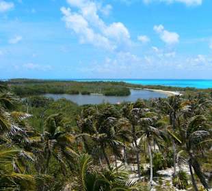 Tour Isla Contoy - Isla Mujeres