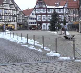 Altes Oberamt