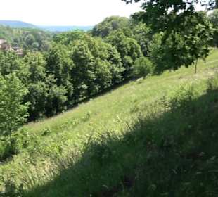 Burg Kräheneck Reusten