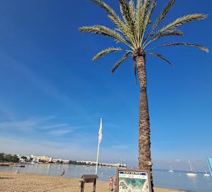 Strandpromenade San Antonio/San Antoni de Portmany