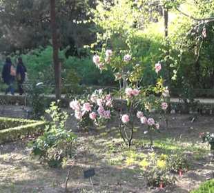 Real Jardín Botánico de Madrid