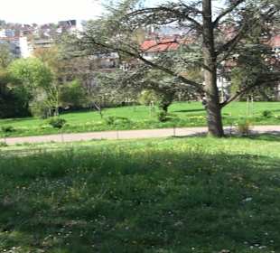 Rosengarten Villa Berg