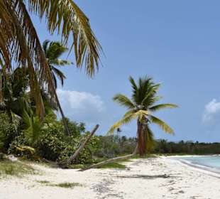 Einsamer Strand auf Saona 