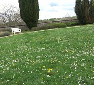 Schloss ob Ellwangen