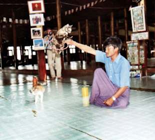 Gewaltiger Katzensprung