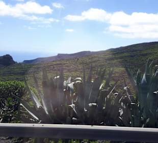 Ausflug  La Gomera 