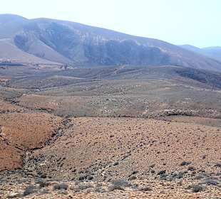 Tagesausflug Inselrundfahrt