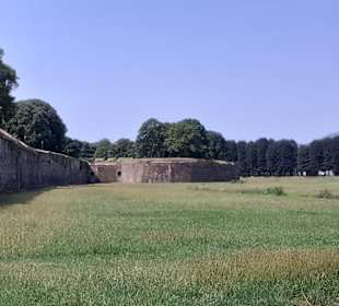 Stadtmauer Lucca