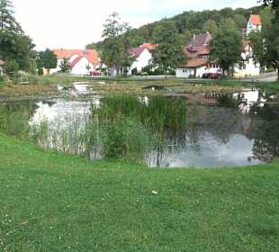 Hüle Zainingen