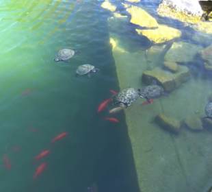 Panorama Therme Beuren