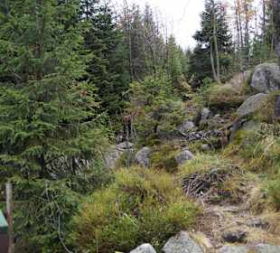 Riesengebirge/Karkonosze