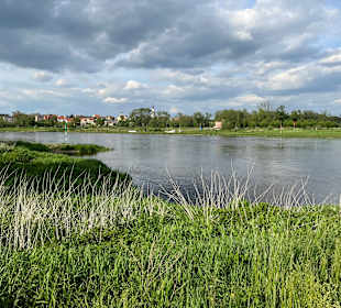 Wandern Lutherstadt Wittenberg