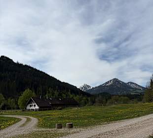 Ausblick