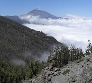 Teide