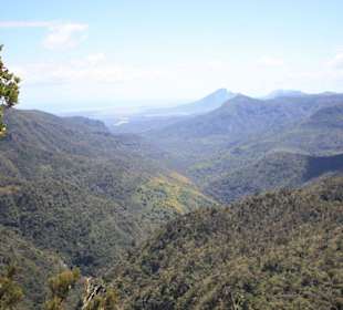 Black River Nationalpark