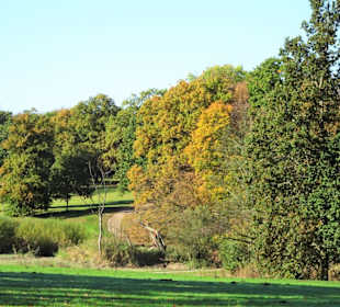 Rundgang durch den Jenischpark