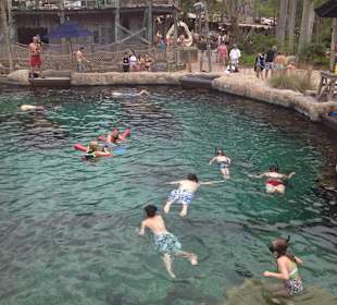 Disney's Typhoon Lagoon