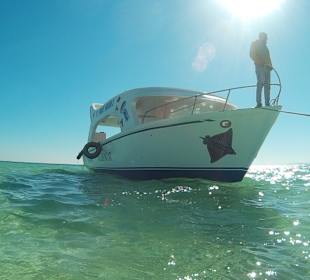 Glasbodenboot Tour Hurghada