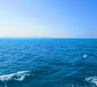 Ausflug Dolphin House