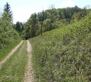 Premiumwanderweg Hochgehschätzt