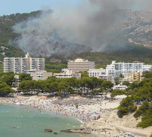 Waldbrand am nördlichen Ortsrand von Paguera