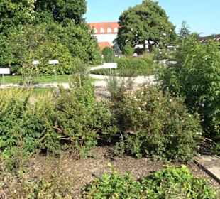 Botanischer Garten München