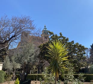 Kartause von Valldemossa