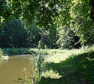 Wandern Zwettl