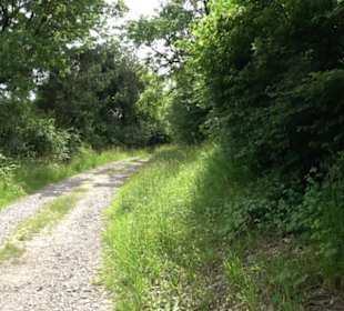 Premiumspazierweg Früchtetrauf-Leisawegle