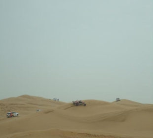 Wüstensafari