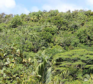 Ausblick über das Vallee de Mai