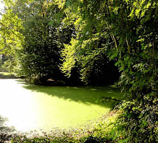 Teich in Knoops Park