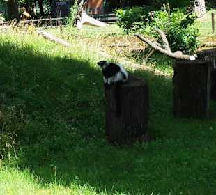 Zoo Wrocław