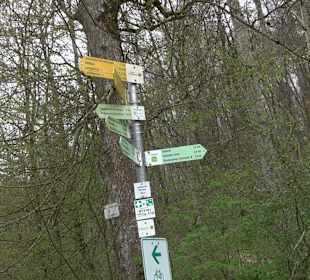 Eiszeitpfad - Burgfelsenpfad