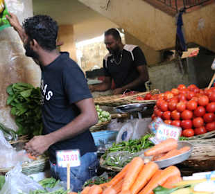 Tour durch den Süden