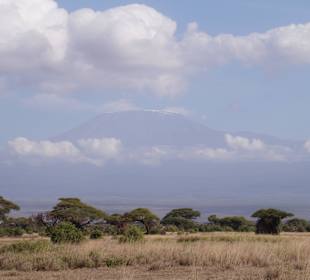 Im Amboseli Nationalpark der Kilimandscharo