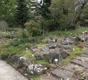 Alpinum