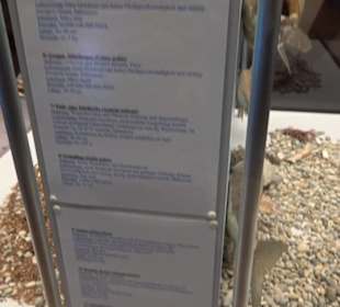 Natur- und Jagdmuseum