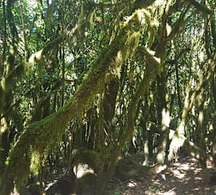 Wandern Valle Gran Rey