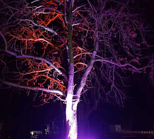 Winterleuchte 2019/2020 egapark Erfurt