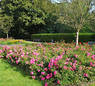Eindrücke aus dem Harburger Stadtpark
